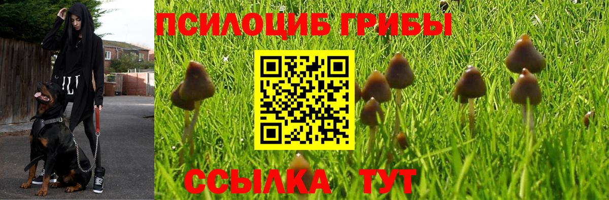 Кодеин Киселёвск